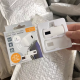 Pocket Thermometer